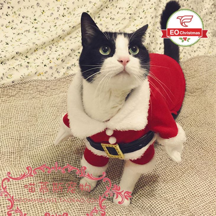 Pet Santa Claus Clothing